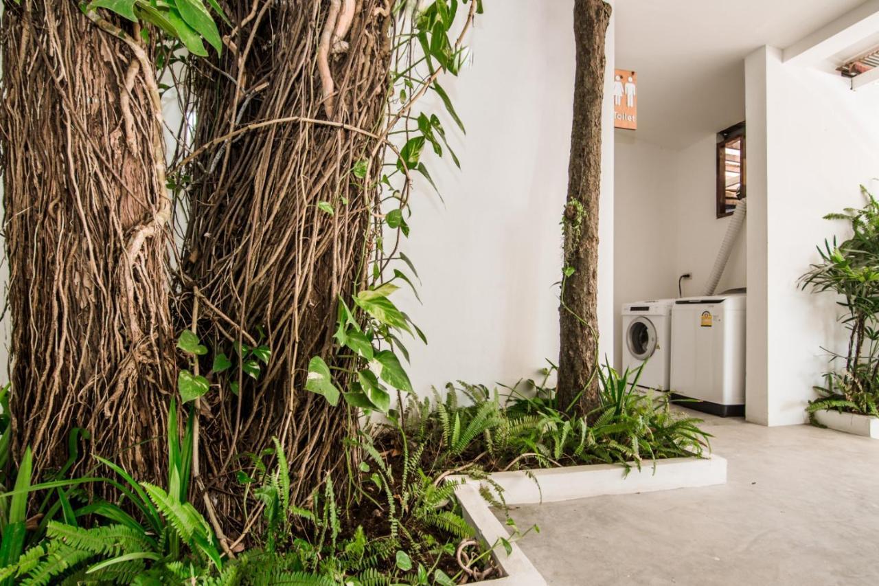 Whalecome Aonang Resort-Sha Extra Plus Ao Nang Exterior foto